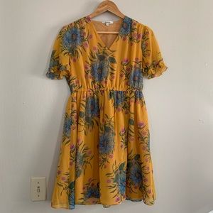 Madewell  Painted Blooms Mini Dress Size 6